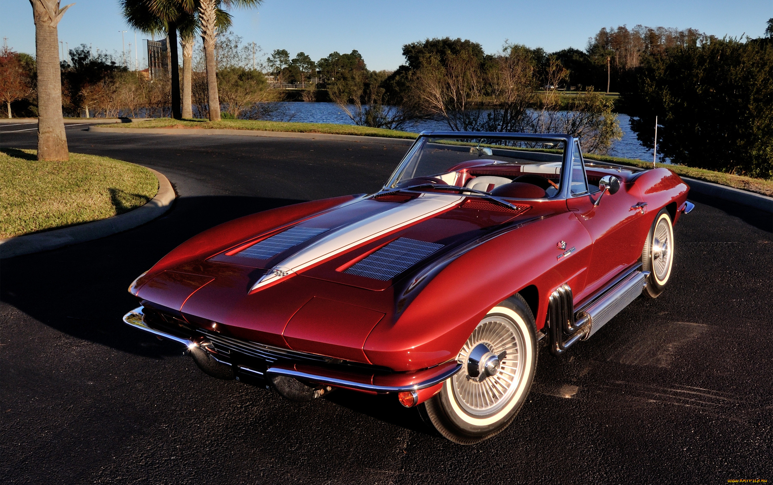 , corvette, bordo